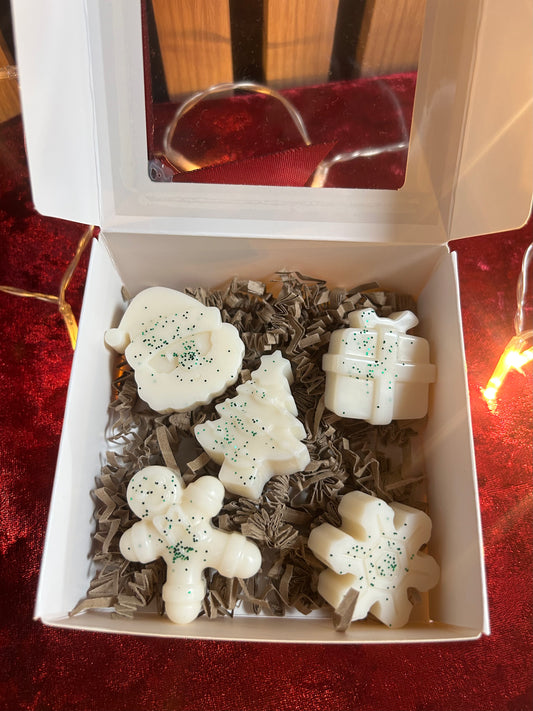 Coffret Cadeau de 5 Fondants Parfumés — Édition Festive