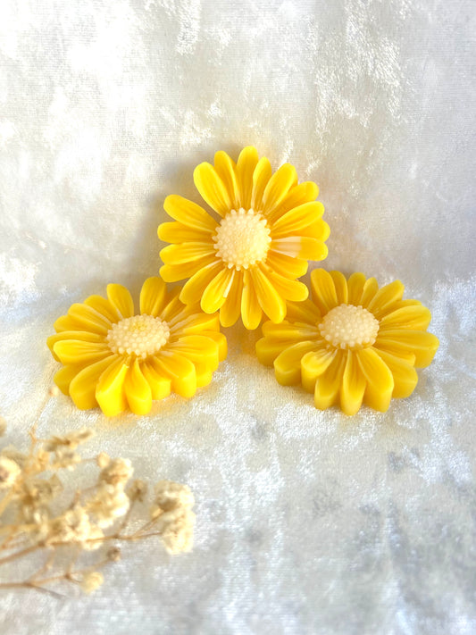 Fondant parfumé Fleur de tiaré