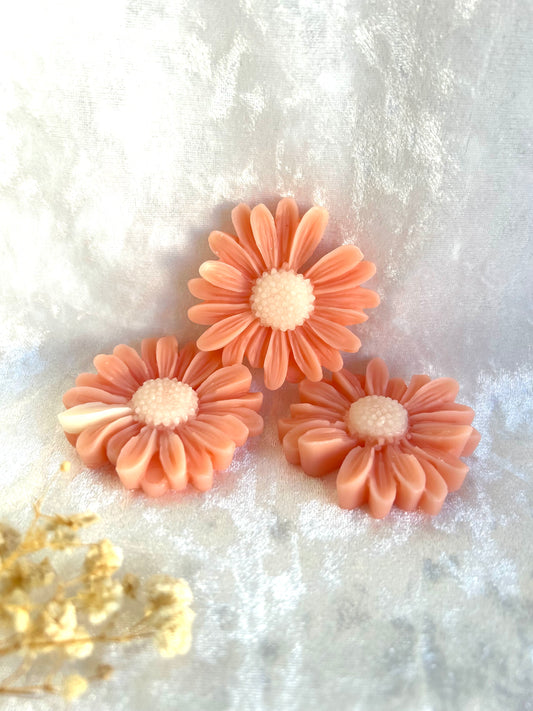 Fondant parfumé Monoï pêche
