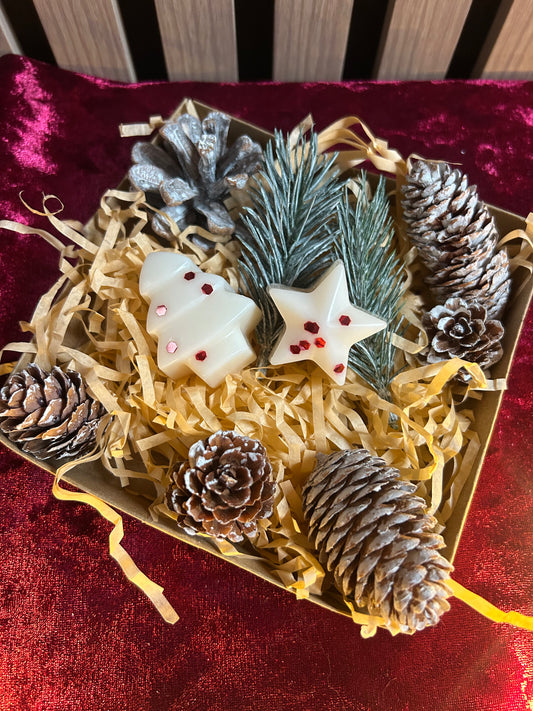 Fondant de Cire Parfumé — Lot de 2 Motif sapin et étoile